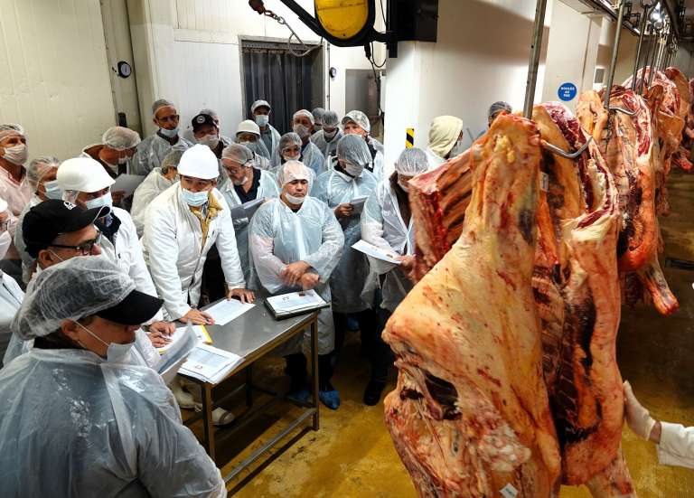 Les carcasses primées s’arrachent aux enchères de l’Ocef