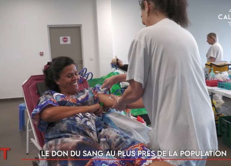 600 plants de forêt arrachés à Nouméa, le don du sang en itinérance… Le JT de Caledonia du 18 août