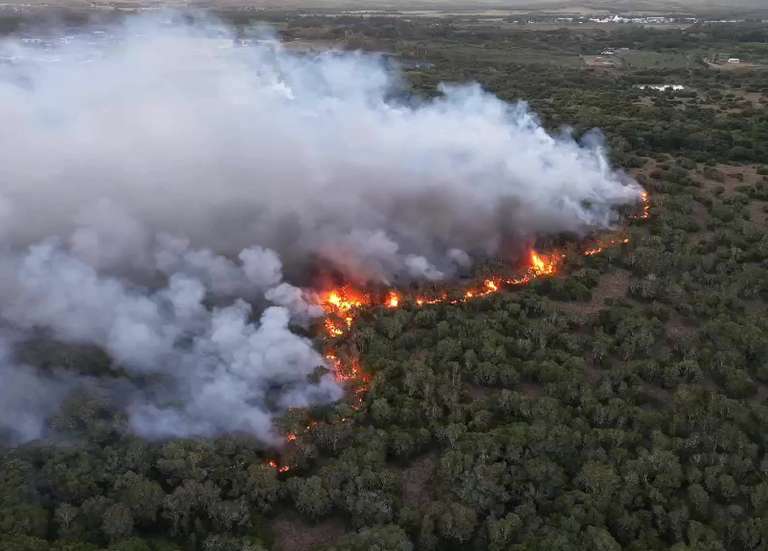 Incendies : la Nouvelle-Calédonie appelée à revoir sa stratégie
