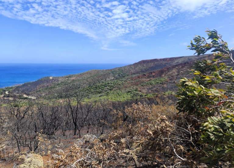 Feu à Bélep : l’incendie désormais déclaré éteint