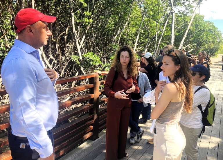 Changement climatique : à Sainte-Marie, la mangrove montre la voie aux scientifiques de la région