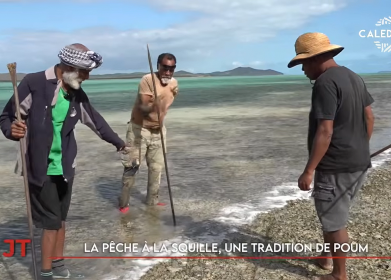 Pêche à la squille à Poum, sensibilisation aux cancers du sang… Le JT de Caledonia du 17 septembre