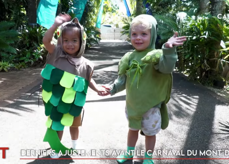Budget supplémentaire, rhumatisme articulaire aigu, carnaval du Mont-Dore… Le JT de Caledonia du 18 septembre