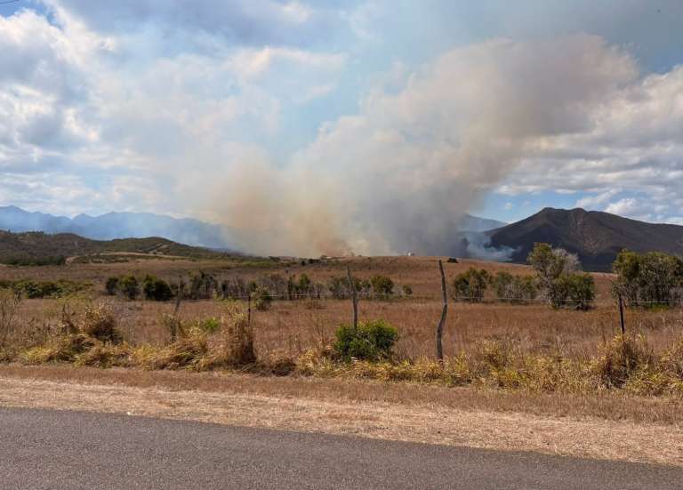 Plusieurs feux de brousse en cours à Koumac