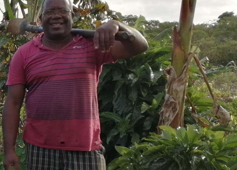 [MAGAZINE] René Wacapo : l’agroforesterie au cœur