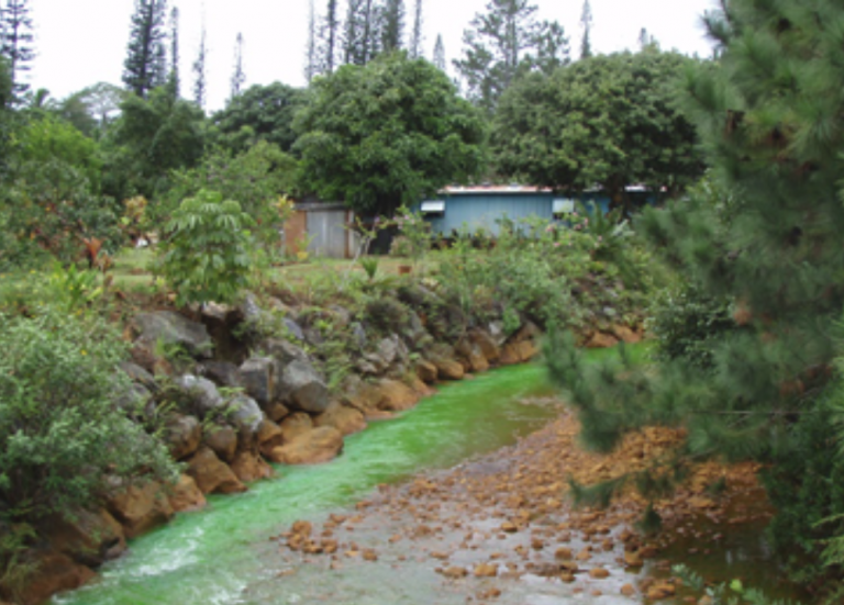La SLN va réaliser un test dans la rivière Kouaoua, afin d’agir plus rapidement en cas de pollution