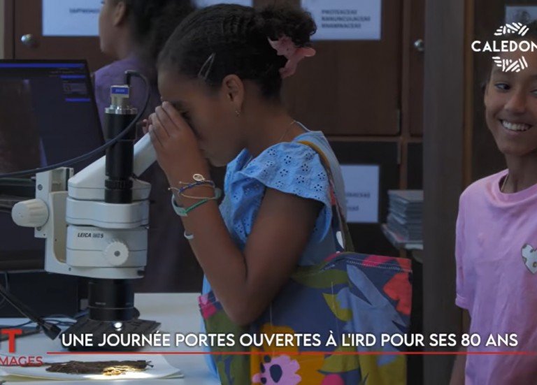 Les science ouvre ses portes, collecte solidaire à Koumac... Le JT de Caledonia du 12 octobre