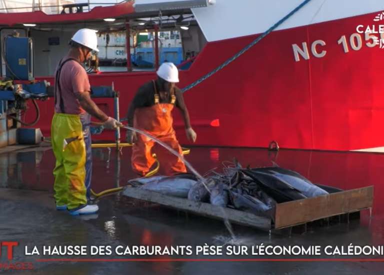 L’association Hippocampe en quête d’un nouveau local, le prix des carburants pèse sur l’économie… Le JT de Caledonia du 13 octobre