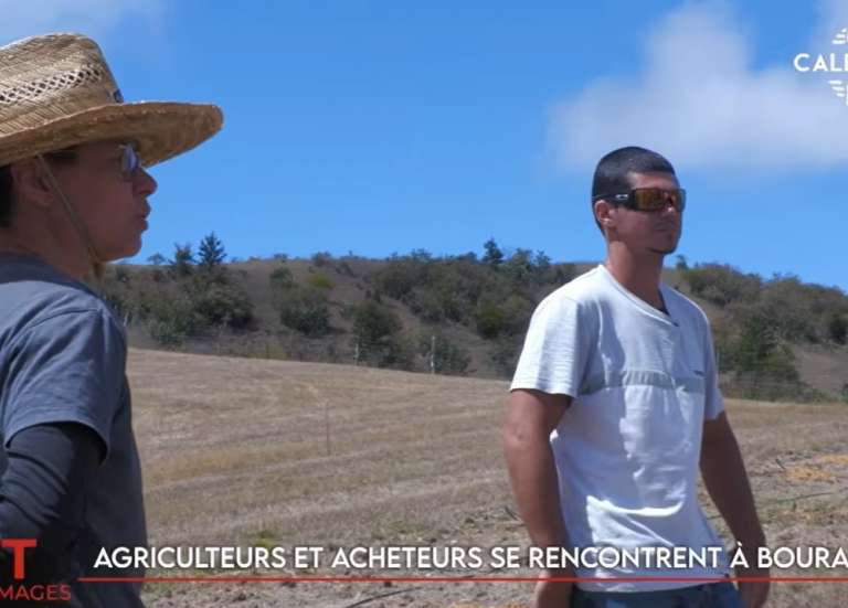 Rencontre entre agriculteurs et acheteurs à Bouraké, Nouméa célèbre les arts de rue… Le JT du 16 octobre de Caledonia