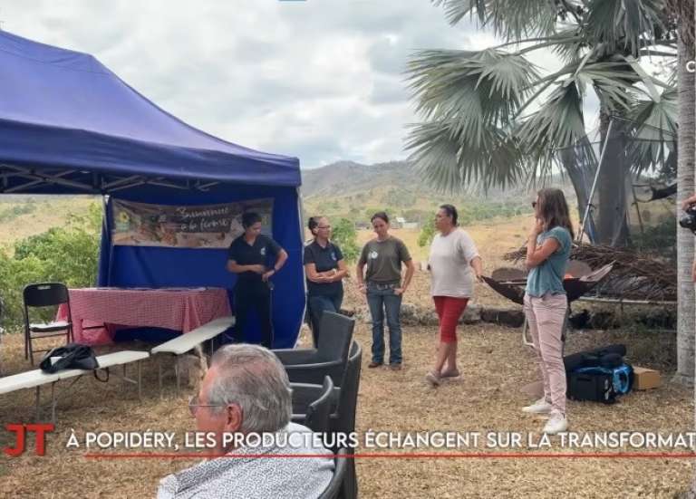 Grève des transports à Lifou, Le Pacifique, nouveau carrefour du narcotrafic… Le JT de Caledonia du 27 octobre