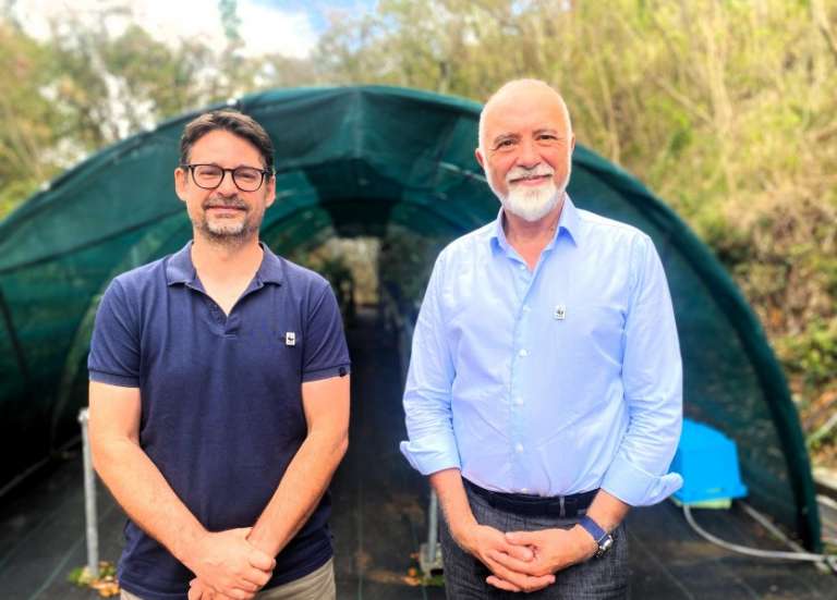 WWF en Nouvelle-Calédonie : de la forêt sèche au lagon, vingt-cinq ans d’action
