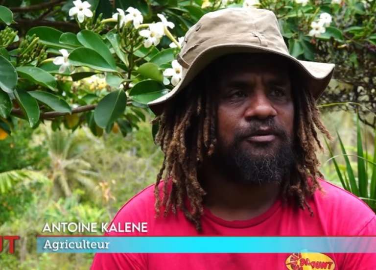 Halloween, grève à Arbofruits, à Touho, Antoine a quitté la mine pour vivre de la terre… Le JT de Caledonia du 30 octobre